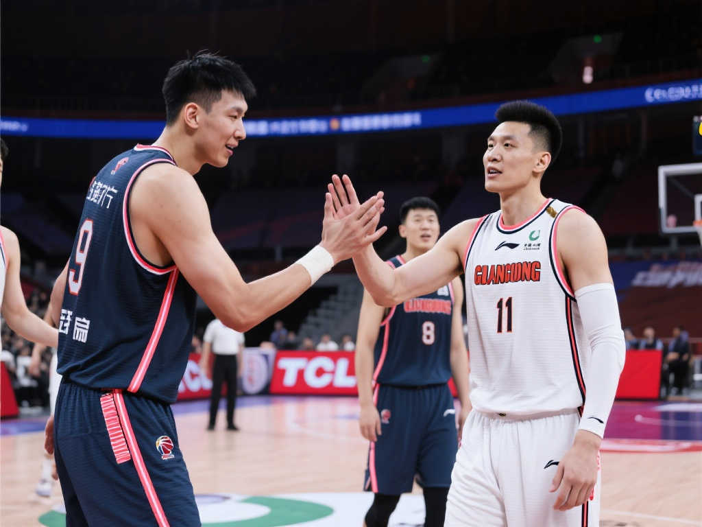 特的合作 特的合作