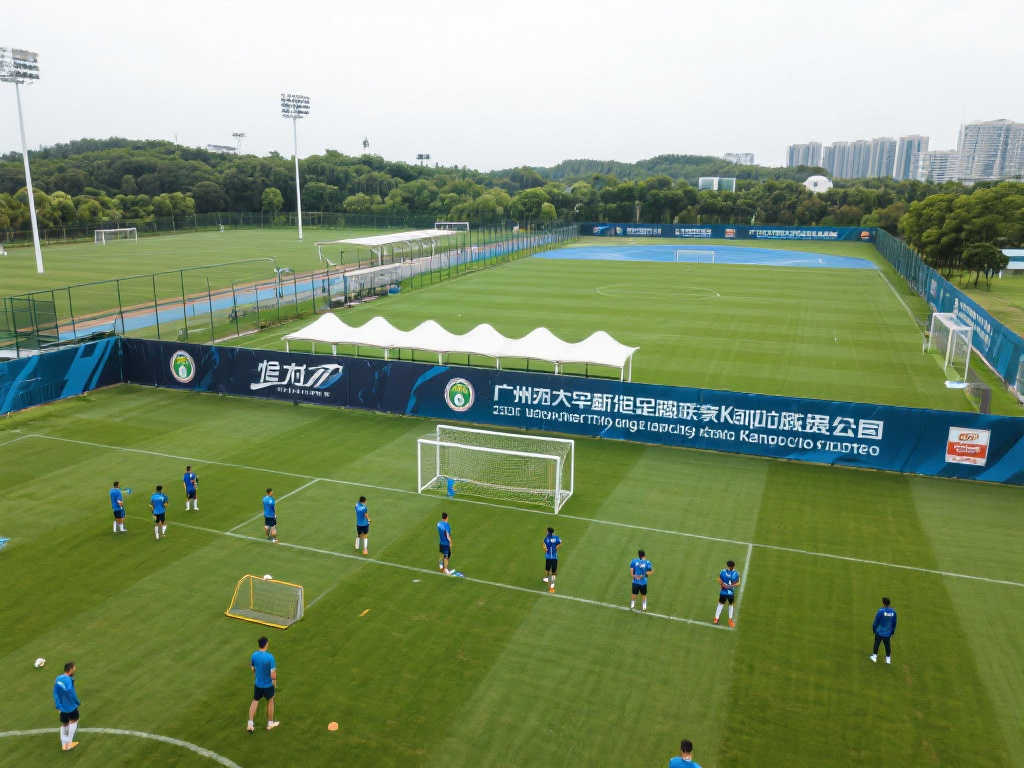 许多球迷纷 许多球迷纷