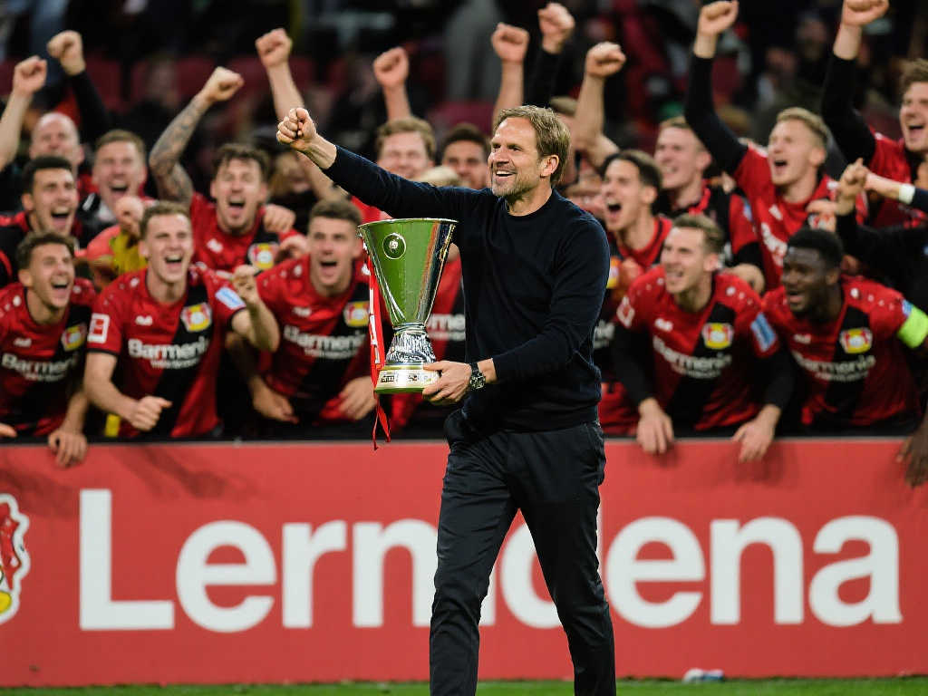 体队伍的配 体队伍的配